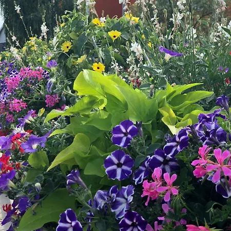 Dom wakacyjny Haus Soeding